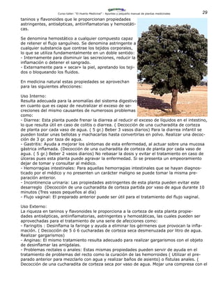 29Curso-taller: “El Huerto Medicinal” - Apuntes y pequeño manual de plantas medicinales
taninos y flavonoides que le proporcionan propiedades
astringentes, antisépticas, antiinflamatorias y hemostáti-
cas.
Se denomina hemostático a cualquier compuesto capaz
de retener el flujo sanguíneo. Se denomina astringente a
cualquier substancia que contrae los tejidos corporales,
lo que se utiliza fundamentalmente en un doble sentido:
- Internamente para disminuir las secreciones, reducir la
inflamación o detener el sangrado.
- Externamente para « secar» la piel, apretando los teji-
dos o bloqueando los fluidos.
En medicina natural estas propiedades se aprovechan
para las siguientes afecciones:
Uso Interno:
Resulta adecuada para la anomalías del sistema digestivo
en cuanto que es capaz de neutralizar el exceso de se-
creciones del mismo causantes de numerosos problemas
como:
- Diarrea: Esta planta puede frenar la diarrea al reducir el exceso de líquidos en el intestino,
lo que resulta útil en caso de colitis o diarrea. ( Decocción de una cucharadita de corteza
de planta por cada vaso de agua. ( 5 gr.) Beber 3 vasos diarios) Para la diarrea infantil se
pueden tostar unas bellotas y machacarlas hasta convertirlas en polvo. Realizar una decoc-
ción de 3 gr. por taza de agua.
- Gastritis: Ayuda a mejorar los síntomas de esta enfermedad, al actuar sobre una mucosa
gástrica inflamada. (Decocción de una cucharadita de corteza de planta por cada vaso de
agua. ( 5 gr.) Beber 2 vasos diarios) No rebasar la dosis y evitar el tratamiento en caso de
úlceras pues esta planta puede agravar la enfermedad. Si se presenta un empeoramiento
dejar de tomar y consultar al médico.
- Hemorragias intestinales: Para aquellas hemorragias intestinales que se hayan diagnos-
ticado por el médico y no presenten un carácter maligno se puede tomar la misma pre-
paración anterior.
- Incontinencia urinaria: Las propiedades astringentes de esta planta pueden evitar este
desarreglo (Decocción de una cucharadita de corteza partida por vaso de agua durante 10
minutos (Tres vasos pequeños al día)
- Flujo vaginal: El preparado anterior puede ser útil para el tratamiento del flujo vaginal.
Uso Externo:
La riqueza en taninos y flavonoides le proporciona a la corteza de esta planta propie-
dades antisépticas, antiinflamatorias, astringentes y hemostáticas, las cuales pueden ser
aprovechadas para el tratamiento de una serie de afecciones como:
- Faringitis : Desinflama la faringe y ayuda a eliminar los gérmenes que provocan la infla-
mación. ( Decocción de 5 ó 6 cucharadas de corteza seca desmenuzada por litro de agua.
Realizar gargarismos)
- Anginas: El mismo tratamiento resulta adecuado para realizar gargarismos con el objeto
de desinflamar las amígdalas.
- Problemas rectales o anales: Estas mismas propiedades pueden servir de ayuda en el
tratamiento de problemas del recto como la curación de las hemorroides ( Utilizar el pre-
parado anterior para mezclarlo con agua y realizar baños de asiento) o fístulas anales. (
Decocción de una cucharadita de corteza seca por vaso de agua. Mojar una compresa con el
 