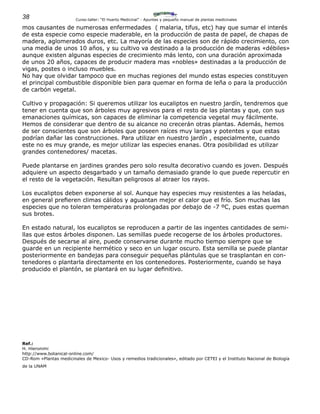 38 Curso-taller: “El Huerto Medicinal” - Apuntes y pequeño manual de plantas medicinales
mos causantes de numerosas enfermedades ( malaria, tifus, etc) hay que sumar el interés
de esta especie como especie maderable, en la producción de pasta de papel, de chapas de
madera, aglomerados duros, etc. La mayoría de las especies son de rápido crecimiento, con
una media de unos 10 años, y su cultivo va destinado a la producción de maderas «débiles»
aunque existen algunas especies de crecimiento más lento, con una duración aproximada
de unos 20 años, capaces de producir madera mas «nobles» destinadas a la producción de
vigas, postes o incluso muebles.
No hay que olvidar tampoco que en muchas regiones del mundo estas especies constituyen
el principal combustible disponible bien para quemar en forma de leña o para la producción
de carbón vegetal.
Cultivo y propagación: Si queremos utilizar los eucaliptos en nuestro jardín, tendremos que
tener en cuenta que son árboles muy agresivos para el resto de las plantas y que, con sus
emanaciones químicas, son capaces de eliminar la competencia vegetal muy fácilmente.
Hemos de considerar que dentro de su alcance no crecerán otras plantas. Además, hemos
de ser conscientes que son árboles que poseen raíces muy largas y potentes y que estas
podrían dañar las construcciones. Para utilizar en nuestro jardín , especialmente, cuando
este no es muy grande, es mejor utilizar las especies enanas. Otra posibilidad es utilizar
grandes contenedores/ macetas.
Puede plantarse en jardines grandes pero solo resulta decorativo cuando es joven. Después
adquiere un aspecto desgarbado y un tamaño demasiado grande lo que puede repercutir en
el resto de la vegetación. Resultan peligrosos al atraer los rayos.
Los eucaliptos deben exponerse al sol. Aunque hay especies muy resistentes a las heladas,
en general prefieren climas cálidos y aguantan mejor el calor que el frío. Son muchas las
especies que no toleran temperaturas prolongadas por debajo de -7 ºC, pues estas queman
sus brotes.
En estado natural, los eucaliptos se reproducen a partir de las ingentes cantidades de semi-
llas que estos árboles disponen. Las semillas puede recogerse de los árboles productores.
Después de secarse al aire, puede conservarse durante mucho tiempo siempre que se
guarde en un recipiente hermético y seco en un lugar oscuro. Esta semilla se puede plantar
posteriormente en bandejas para conseguir pequeñas plántulas que se trasplantan en con-
tenedores o plantarla directamente en los contenedores. Posteriormente, cuando se haya
producido el plantón, se plantará en su lugar definitivo.
Ref.:
H. Hieronimi
http://www.botanical-online.com/
CD-Rom «Plantas medicinales de Mexico- Usos y remedios tradicionales», editado por CETEI y el Instituto Nacional de Biología
de la UNAM
 