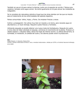 41Curso-taller: “El Huerto Medicinal” - Apuntes y pequeño manual de plantas medicinales
También se usa en té para calmar la diarrea, junto con el epazote de zorrillo ( Teloxys gra-
veolens), tomado como agua común. Se toma igualmente en té para aliviar las molestias de
indigestión.
Se le considera de naturaleza caliente al igual que las otras plantas con las que se mezcla
para el tratamiento de las enfermedades del aparato digestivo.
Partes consumidas: tallos, hojas, y flores. Se emplean frescas y secas.
Cultivo y propagación: Se cultiva muy bien en maceta y en tierra, pero necesita agua en
abundancia y un buen drenaje. Requiere suelos frescos y húmedos.
Utilizando esquejes se puede obtener una nueva mata de hierbabuena. Después de cuatro
o cinco días de haber plantado el esqueje, comienza el crecimiento de la planta. Produce un
rápido espesor y robustos tallos, llenos de hojas de intenso aroma. La altitud del terreno, la
humedad, la insolación, la calidad del suelo y los abonos puede variar la producción.
Ref.:
Sergio Mamert, H. Hieronimi, Marina Ortiz
CD-Rom «Plantas medicinales de Mexico- Usos y remedios tradicionales», editado por CETEI y el Instituto Nacional de Biología
de la UNAM
 