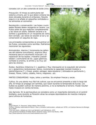 43Curso-taller: “El Huerto Medicinal” - Apuntes y pequeño manual de plantas medicinales
cionados con un alto contenido de ácido úrico.
Precaución: El hinojo es estimulante del
sistema urinario, por lo que deben evitarse las
dosis elevadas durante el embarazo; Resulta
seguro si se añade en pequeñas cantidades a
los alimentos al cocinarlos:
Recolección y conservación: Las hojas y sumi-
dades florales deben recogerse en verano. Los
frutos antes de que maduren completamente
y las raíces en otoño. Deberán secarse a la
sombra y guardarlas en un recipiente de vidrio
bien cerrado. Las raíces se secarán al sol y se
conservarán en saquitos de ropa.
Los principales componentes se encuentran en
los frutos, conocidos como semillas. Podríamos
mencionar los siguientes:
Aminoácidos: Alanina ( Incrementa las defen-
sas del sistema inmunitario); arginina (Muy
necesaria para el crecimiento muscular y la
reparación de los tejidos ) histidina (vasodi-
latador y esimulante de los jugos gástricos.
combate la anemia, la artritis y es muy util
para las úlceras)
Ácidos: Ascórbico (Vitamina C ); aspártico ( Muy interesante en la expulsión del amonía-
co ); glutamínico (antiulceroso, tónico, incrementa la capacidad mental) linoleico y
oleico(Vitamina F ), Cineol, anetol, estragol, beta-sitosterol ( Utilizados en perfumería ),
Grasas, Fibras, Calcio, cobalto, hierro, magnesio...etc.
PARTES CONSUMIDAS: hojas, tallos y semillas. Se emplean frescas y secas.
Cultivo: Es una planta muy fácil de cultivar, que se encuentra presente a todo lo largo del
año. El hinojo se propaga con semillas, que nacen durante la temporada de lluvias. Los
bulbos se pueden cultivar de manera perenne, si no se barbecha el terreno. Puede resultar
hasta invasora en ciertos terrenos.
Uso Agricola: En la permacultura se considera como un importante elemento en el contról
biológico, pues durante se floración atrae las avispas depredadoras de insectos malignos
para cultivos de hortalizas.
Ref.:
Sergio Mamert, H. Hieronimi, Esther Albesa, Marina Ortiz
CD-Rom «Plantas medicinales de Mexico- Usos y remedios tradicionales», editado por CETEI y el Instituto Nacional de Biología
de la UNAM
«The herb book», editado por John Lust Benedict Lust Publications, 1974
«The gardeners handbook of Edible Plants» Rosalind Creasy, Sierra Club Books, 1986
http://www.botanical-online.com/medicinalsfoeniculum.htm
 