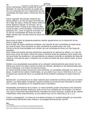 48 Curso-taller: “El Huerto Medicinal” - Apuntes y pequeño manual de plantas medicinales
tierna machacada, sobre la parte de la piel
afectada. En caso de eccemas se puede apli-
car una compresa fría con la decocción de dos
cucharadas de hojas secas y flores por litro de
agua.
Como regulador del tránsito intestinal po-
demos añadir a un litro de agua hirviendo de
30 a 40gr de hojas y flores de malva. Antes de
tomar dejamos reposar 15 minutos. Se re-
comienda tomar 3 tazas al día. Para las afec-
ciones bucales, como laringitis, irritaciones de
garganta, etc., cocer el agua de una taza con
un par de cucharaditas de flores de malva.
Dejar reposar diez minutos antes de hacer las
gárgaras.
Para aliviar el dolor de garganta podemos realizar gargarismos con la decocción de las
flores y hojas secas.
Para el dolor de pecho podríamos preparar una infusión de dos cucharadas de hojas secas
por taza de agua. Para aumentar su valor emoliente se puede tomar con miel.
Contra la tos es recomendable una infusión de una cucharada de flores con dos hojas de
eucalipto.
Otra receta interesante para las afecciones respiratorias en general es añadir a un vaso de
leche unos 10 gr. de hojas y flores de malva y tomarlo antes de acostarse. Otra receta muy
útil para tratar las picaduras y las quemaduras se prepara cociendo un puñadito de hojas de
malva en una taza de agua y mojarlas con un poco de aceite de oliva. Aplicar sobre la zona
afectada.
Debido a sus propiedades suavizantes se ha utilizado tradicionalmente para aliviar las mo-
lestias que sufren los niños cuando les salen los dientes, dándoles la raíz descortezada para
que la mastiquen y se froten con ella las encías.
La malva también puede consumirse como alimento, en ensaladas mezclada con otras ver-
duras. A parte de los valores medicinales, es una planta muy rica en vitaminas A, B, C, y E.
El líquido que resulta de hervir un puñado de flores también constituye un buen tónico fa-
cial.
Recolección: La primavera es la mejor estación para recolectar las flores antes que se hayan
abierto. Las hojas deben recogerse cuando la planta se encuentre bien florecida en primav-
era o verano. Guardarlas en un recipiente seco y hermético.
Propiedades alimentarias de la malva: La malva también puede consumirse como alimento.
Se conoce desde tiempos históricos, pues ya fue muy utilizada por los Griegos y los Roma-
nos, que la consumían abundantemente mezclada con otras verduras. A parte de los valores
medicinales vistos anteriormente, es una planta muy rica en vitaminas A, B, C, y E.
Cultivo y propagaciòn: La malva es una planta silvestre, en nuestra bioregiòn se encuentra
ampliamente distribuida como maleza y se propaga fácilmente por semilla
Ref.:
H. Hieronimi
http://plantasquecuran.com/plantas-medicinales/malva.html
http://www.botanical-online.com/medicinalsmalvacastella.htm
 