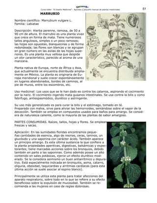 51Curso-taller: “El Huerto Medicinal” - Apuntes y pequeño manual de plantas medicinales
MARRUBIO
Nombre cientìfico: Marrubium vulgare L.
Familia: Labiatae
Descripción: Hierba perenne, ramosa, de 50 a
90 cm de altura. El marrubio es una planta vivaz
que crece en forma de mata. Tiene numerosos
tallos angulosos, simples o un poco ramosos;
las hojas son opuestas, blanquecinas y de forma
redondeada; las flores son blancas y se agrupan
en gran número en las axilas de las hojas supe-
riores. Es una planta muy vellosa que despide
un olor característico, parecido al aroma de una
manzana.
Planta nativa de Europa, norte de África y Asia,
que actualmente se encuentra distribuida amplia-
mente en México. La planta es originaria de Eu-
ropa meridional y suele crecer espontáneamente
en lugares abandonados, bordes de caminos, al
pie de muros, entre los escombros, etc.
Uso medicinal: Los usos que se le han dado es contra los catarros, aspirando el cocimiento
por la nariz. El cocimiento ingerido mata gusanos intestinales. Se usa contra la bilis y como
febrífugo, antiespasmódico, diurético y astringente.
Su uso más generalizado es para curar la bilis y el estómago, tomado en té.
Preparado con malva, sirve para aliviar las hemorroides, sentándose sobre el vapor de la
decocción. También se emplea en compuestos usados para baños para amargo. Se consid-
era de naturaleza caliente, como la mayoría de las plantas de sabor amargoso.
PARTES CONSUMIDAS. Raíces, tallos, hojas y flores. Se emplean
frescas y secas.
Aplicación: En las sumidades floridas encontramos peque-
ñas cantidades de esencia, algo de resinas, ceras, taninos, un
glucósido y una saponina con carácter ácido. También aparece
un principio amargo. Es esta última sustancia la que confiere a
la planta propiedades aperitivas, digestivas, balsámicas y expec-
torantes; tiene marcadas acciones sobre los bronquios, debido
también en parte a las saponinas. Como además posee un alto
contenido en sales potásicas, ejerce un efecto diurético mod-
erado. Se la considera asimismo un buen antiarrítmico y depura-
tivo. Está especialmente indicada en bronquitis, asma, catarro,
oliguria, obesidad, taquicardias y arritmias cardíacas (para esta
última acción se suele asociar al espino blanco).
Principalmente se utiliza esta planta para tratar afecciones del
aparato respiratorio, sobre todo en lo que se refiere a su efecto
beneficioso sobre la expulsión de mucosidad. También se re-
comienda a las mujeres en caso de reglas dolorosas.
 