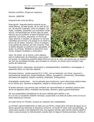 55Curso-taller: “El Huerto Medicinal” - Apuntes y pequeño manual de plantas medicinales
Mejorana
Nombre científico: Origanum majorana
Familia: LABIATAE
Originaria del norte de África.
Descripción: Pequeña planta cubierta de pe-
lusilla Blanca, de tallo erecto, de no más de 50
cm, de sección cuadrada, como el orégano. Las
hojas, ovaladas, presentan una coloración verde
oscuro, enmascarada por la fina capa de pelos
blancos que le confieren la falsa tonalidad clara
aparente. Las flores, pequeñas, en forma de
copa, blancas o rosadas, se agrupan en densos
ramilletes que forman una espiga en la mitad su-
perior de los tallos; resuman, como el orégano,
unas gotitas de esencia, de color amarillo. Toda
la planta despide un perfume muy agradable; al
gusto, es amarga. También se denomina may-
orana, orégano verdadero y almoradux.
Usos: Se utiliza en la cocina, como especia,
para la elaboración de embutidos y para prepa-
rar guisos. La mejorana presenta bellas flores en forma de cáliz. Las partes que se recolec-
tan son las sumidades floridas, que tomadas en infusión, se utilizan para combatir toda
suerte de trastornos.
Excelente tónico, estomacal, carminativa y antiespasmódica. Sudorífica y emenagoga. A
pequeñas dosis, es más bien sedante
Principios Activos: Aceite esencial (0,7 a 3%), rico en terpineol, con timol, carvacrol e
hidrocarburos terpénicos; ácidos fenólicos: caféico, clorogénico, rosmarínico; flavonoides:
derivados del apigenol, luteolol, kenferol, diosmetol; hidroquinona.
Propiedades medicinales: Se ha utilizado para trastornos, como infecciones abdominales.
Es un tónico que favorece la digestión, regula la menstruación y es sudorífica.
El aceite esencial y los taninos que contiene son aprovechados en remedios caseros para
aliviar la digestión difícil, molestias menstruales, diarrea y gases gastrointestinales.
Por sus propiedades antisépticas es de buen utilidad para resfríos y tos.
Es a la vez un excelente sedante nervioso, ayuda tanto a la falta de sueño como en los es-
tados depresivos crónicos.
Se suele tomar en infusión, aunque se preparan dos modalidades:
La infusión (aproximadamente un tallo con sus flores y hojas para una taza de agua) es un
tónico general que favorece el descanso nocturno. La fuerte (5 veces más concentrada), se
utiliza para ayudar a las digestiones tras una copiosa comida, para calmar dolores abdomi-
nales y para provocar la menstruación cuando ésta no llega en fechas previstas. Contra el
 