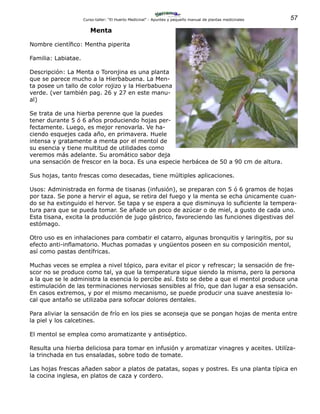 57Curso-taller: “El Huerto Medicinal” - Apuntes y pequeño manual de plantas medicinales
Menta
Nombre científico: Mentha piperita
Familia: Labiatae.
Descripción: La Menta o Toronjina es una planta
que se parece mucho a la Hierbabuena. La Men-
ta posee un tallo de color rojizo y la Hierbabuena
verde. (ver también pag. 26 y 27 en este manu-
al)
Se trata de una hierba perenne que la puedes
tener durante 5 ó 6 años produciendo hojas per-
fectamente. Luego, es mejor renovarla. Ve ha-
ciendo esquejes cada año, en primavera. Huele
intensa y gratamente a menta por el mentol de
su esencia y tiene multitud de utilidades como
veremos más adelante. Su aromático sabor deja
una sensación de frescor en la boca. Es una especie herbácea de 50 a 90 cm de altura.
Sus hojas, tanto frescas como desecadas, tiene múltiples aplicaciones.
Usos: Administrada en forma de tisanas (infusión), se preparan con 5 ó 6 gramos de hojas
por taza. Se pone a hervir el agua, se retira del fuego y la menta se echa únicamente cuan-
do se ha extinguido el hervor. Se tapa y se espera a que disminuya lo suficiente la tempera-
tura para que se pueda tomar. Se añade un poco de azúcar o de miel, a gusto de cada uno.
Esta tisana, excita la producción de jugo gástrico, favoreciendo las funciones digestivas del
estómago.
Otro uso es en inhalaciones para combatir el catarro, algunas bronquitis y laringitis, por su
efecto anti-inflamatorio. Muchas pomadas y ungüentos poseen en su composición mentol,
así como pastas dentífricas.
Muchas veces se emplea a nivel tópico, para evitar el picor y refrescar; la sensación de fre-
scor no se produce como tal, ya que la temperatura sigue siendo la misma, pero la persona
a la que se le administra la esencia lo percibe así. Esto se debe a que el mentol produce una
estimulación de las terminaciones nerviosas sensibles al frío, que dan lugar a esa sensación.
En casos extremos, y por el mismo mecanismo, se puede producir una suave anestesia lo-
cal que antaño se utilizaba para sofocar dolores dentales.
Para aliviar la sensación de frío en los pies se aconseja que se pongan hojas de menta entre
la piel y los calcetines.
El mentol se emplea como aromatizante y antiséptico.
Resulta una hierba deliciosa para tomar en infusión y aromatizar vinagres y aceites. Utilíza-
la trinchada en tus ensaladas, sobre todo de tomate.
Las hojas frescas añaden sabor a platos de patatas, sopas y postres. Es una planta típica en
la cocina inglesa, en platos de caza y cordero.
 