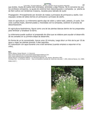 61Curso-taller: “El Huerto Medicinal” - Apuntes y pequeño manual de plantas medicinales
que ácidos. Gusta de suelos bien drenados, arenosos y algo frescos. No le conviene los sue-
los arcillosos compactos. Le gusta de estiércol bien descompuesto o composta. La planta es
de fácil cultivo con tendencia invasora, necesita poco labrado de suelo
Propagación: Principalmente por división de matas a principios de primavera y otoño. Con
esquejes verdes de tallos tiernos en primavera o principio de otoño.
Usos en agricultura: La milenrama aporta algo de cobre y sobre todo, potasio, al suelo. Con
unas cuantas hojas, desmenuzadas y mezcladas con la composta, aceleran el proceso de
descomposición.
En agricultura biodinámica, figura como una de las plantas básicas dentro de los preparados
para fertilizar y fortalecer la tierra.
La milenrama puede sustituir al preparado de sílice que se elabora para ayudar al desarrollo
de los cereales en su primera etapa de desarrollo.
En forma de un te concentrado, hierve unos 10 minutos, luego diluir un litro de te por 10 de
agua y regar las plantas jóvenes 3 días seguidos.
En maceración con agua durante una a dos semanas (cuando empiece a espumar el liq-
uido).
Ref.:
Esther Albesa, Sergio Mamert , H. Hieronimi
http://www.botanical-online.com/medicinalsachilleamillefolium.htm
http://www.webcolombia.com/plantascurativas/Milenrama.htm
Miriam Polunin/ Christopher Robbins: «La Farmacia Natural», Ed. Acanto. Barcelona 1992
Penelope Ody: «La farmacia natural - Guía encicoplédica ilustrada de medicinas naturales ”, 1993, Editorial Raíces, S.A. ISBN:
8486115337 )
 