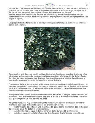 73Curso-taller: “El Huerto Medicinal” - Apuntes y pequeño manual de plantas medicinales
heridas, etc ) Para sanar las heridas y las úlceras, favoreciendo la cicatrización o impidiendo
que esta herida pudiera infectarse. Compresas con la maceración de 20 gr. de hojas secas
en 3/4 de litro de agua o bien la planta fresca aplicada sobre las heridas.
Resulta interesante realizar una infusión de cucharada y media de hierba seca para el
tratamiento de las úlceras de la boca ( Realizar enjuagues bucales con esta preparación. No
tragar el líquido)
Las propiedades bactericidas de la salvia pueden aprovecharse para combatir las intoxica-
ciones alimentarias.
Estomacales, anti-diarreica y antivomitiva: Contra las digestiones pesadas, la diarrea y los
vómitos es un buen remedio tomarse tres tazas repartidas a lo largo del día de la infusión
de 15 gr. de hojas secas por litro de agua. Esta infusión ayuda a eliminar la ácidez por lo
que resulta adecuada en casos de gastritis o hernia de hiato.
Emenagogo: Rebaja ligeramente los dolores de la menstruación evitando los problemas co-
laterales que origina como dolores de cabeza, estómago, retención de líquidos e irritabilidad
general. ( Infusión de una cucharada de sumidades floríferas. 2 tazas diarias durante una
semana antes de la menstruación)
Hipoglucemiante: Su uso disminuye la cantidad de azúcar en la sangre. Deben utilizarla los
diabéticos. Para ello tomarán un vasito pequeño al día de la maceración durante 10 días de
100 gr. de hojas en un litro de vino de Jerez.
Relajante muscular: Muy útil como relajante muscular, en dolores producidos por estira-
mientos o esfuerzos demasiado grandes sin preparación previa.
•	 Frotar la zona dolorida con una mezcla de 10 gotas aceite esencial en dos cucharadas
de aceite de oliva. No beber el aceite esencial.
•	 Añadir 20 gotas al agua de baño. tomar un baño durante 15 o 20 minutos
•	 Añadir al agua del baño la Infusión de 3 cucharadas de planta seca en un litro de
 