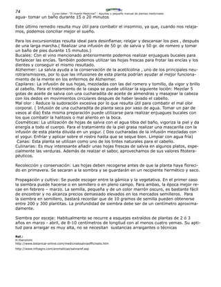 74 Curso-taller: “El Huerto Medicinal” - Apuntes y pequeño manual de plantas medicinales
agua- tomar un baño durante 15 o 20 minutos
Este último remedio resulta muy útil para combatir el insomnio, ya que, cuando nos relaja-
mos, podemos conciliar mejor el sueño.
Para los excursionistas resulta ideal para desinflamar, relajar y descansar los pies , después
de una larga marcha.( Realizar una infusión de 50 gr. de salvia y 50 gr. de romero y tomar
un baño de pies durante 15 minutos.)
Bucales: Con el vino mencionado anteriormente podemos realizar enjuagues bucales para
fortalecer las encías. También podemos utilizar las hojas frescas para frotar las encías y los
dientes y conseguir el mismo resultado.
Alzheimer: La salvia ayuda a la conservación de la acetilcolina , uno de los principales neu-
rotransmisores, por lo que las infusiones de esta planta podrían ayudar al mejor funciona-
miento de la mente en los enfermos de Alzheimer.
Capilares: La infusión de sus hojas, mezcladas con las del romero y tomillo, da vigor y brillo
al cabello. Para el tratamiento de la caspa se puede utilizar la siguiente loción: Mezclar 5
gotas de aceite de salvia con una cucharadita de aceite de almendras y masajear la cabeza
con los dedos en movimientos circulares despues de haber lavado el cabello.
Mal olor : Reduce la sudoración excesiva por lo que resulta útil para combatir el mal olor
corporal. ( Infusión de una cucharadita de planta seca por vaso de agua. Tomar un par de
vasos al día) Esta misma preparación puede utilizarse para realizar enjuagues bucales con
los que combatir la halitosis o mal aliento en la boca.
Cosméticas: La utilización de hojas de salvia con el agua tibia del baño, vigoriza la piel y da
energía a todo el cuerpo. Para el tratamiento de la piel grasa realizar una mascarilla con la
infusión de esta planta diluida en un yogur. ( Dos cucharadas de la infusión mezcladas con
el yogur. Enfríar y aplicar sobre el rostro hasta que se seque bien. Limpiar con agua fría)
Canas: Esta planta se utilizan como uno de los tintes naturales para el cabello.
Culinarias: Es muy interesante añadir unas hojas frescas de salvia en algunos platos, espe-
cialmente las verduras. Además de realzar el sabor, aprovechamos de sus valores fitotera-
péuticos.
Recolección y conservación: Las hojas deben recogerse antes de que la planta haya floreci-
do en primavera. Se secaran a la sombra y se guardarán en un recipiente hermético y seco.
Propagación y cultivo: Se puede escoger entre la gámica y la vegetativa. En el primer caso
la siembra puede hacerse o en semillero o en pleno campo. Para ambas, la época mejor re-
cae en febrero – marzo. La semilla, pequeña y de un color marrón oscuro, es bastante fácil
de encontrar y no alcanza precios demasiado elevados en los mercados semilleros. Para
la siembra en semillero, bastará recordar que de 10 gramos de semilla pueden obtenerse
entre 200 y 300 plantitas. La profundidad de siembra debe ser de un centímetro aproxima-
damente.
Siembra por esceje: Habitualmente se recurre a esquejes extraídos de plantas de 2 ó 3
años en marzo - abril, de 8-10 centímetros de longitud con al menos cuatro yemas. Su apti-
tud para arraigar es muy alta, no se necesitan sustancias arraigantes o técnicas
Ref.:
H.Hieronimi
http://www.botanical-online.com/medicinalssalviaofficinalis.htm
http://www.infoagro.com/aromaticas/salviaref.asp
 