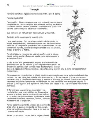 78 Curso-taller: “El Huerto Medicinal” - Apuntes y pequeño manual de plantas medicinales
Toronjil
Nombre cientifico: Agastache mexicana (HBK.) Lint & Epling
Familia: LABIATAE
Descripción: Planta mexicana que crece silvestre en regiones
templadas del centro del país. Actualmente es muy escasa en
su medio natural, debido a la colecta inmoderada, por lo cual
se está cultivando para satisfacer la demanda.
Sus nombres en náhuatl son tlalahuéhuetl y tlalámatl.
También se le conoce como toronjil rojo.
Usos medicinales: Sus usos han variado a lo largo del ti-
empo. Antiguamente, recomendaban su raíz exprimida como
parte de un compuesto preparado para curar heridas. Un uso
similar ser reporta, que la raíz espolvoreada cura las úlceras,
mitiga el dolor y la fiebre.
Por otro lado, se recomienda usar de preferencia la planta
fresca y dice que la infusión es usada como estomáquico y
antiespasmódico.
El uso actual más generalizado es para el tratamiento de
enfermedades de los nervios y para impresiones fuertes. Se
prepara en combinación con los otros dos toronjiles, toronjil
blanco ( Agastache mexicano subsp. xolocotziana) y toronjil azul o chino (Dracocephalum
moldavica) .
Otras personas recomiendan el té del siguiente compuesto para curar enfermedades de los
nervios: los tres toronjiles, canela (cinnamomum sp.), flor de manita (Chriranthodendron
pentadactylon ), tila (Tentstroemia spp.), azahar (Citrus spp.) e hinojo( Foeniculum vulgare
) tomado en ayunas También se recomiendan los tres toronjiles más hinojo en té para la
presión y para ayudar a la digestión, tomándolo tres veces al día. Se considera de naturale-
za fresca.
El Toronjil por su aroma tan inspirador y re-
confortante es de gran utilidad por los nervios,
levanta el animo, ayuda en depresiones, calma
el corazón y las palpitaciones. Igualmente es efi-
caz contra espasmos nerviosos, cólicos, vómitos,
malestares de la digestión.
Por su sabor ligeramente anisado se recomienda
a los niños a quienes les gusta por lo general,
y los tranquiliza en la noche. Igual a los que no
consiguen el sueno.
Partes consumidas: raíces, tallos, hojas y flores
 