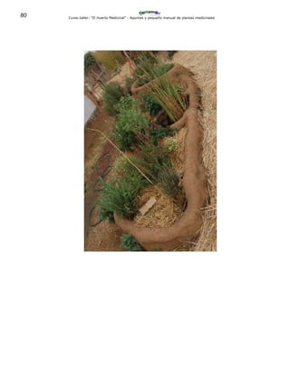 80 Curso-taller: “El Huerto Medicinal” - Apuntes y pequeño manual de plantas medicinales
 