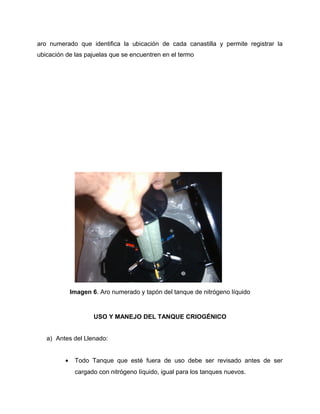 aro numerado que identifica la ubicación de cada canastilla y permite registrar la 
ubicación de las pajuelas que se encuentren en el termo 
Imagen 6. Aro numerado y tapón del tanque de nitrógeno líquido 
USO Y MANEJO DEL TANQUE CRIOGÉNICO 
a) Antes del Llenado: 
· Todo Tanque que esté fuera de uso debe ser revisado antes de ser 
cargado con nitrógeno líquido, igual para los tanques nuevos. 
 
