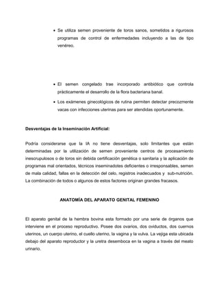 · Se utiliza semen proveniente de toros sanos, sometidos a rigurosos 
programas de control de enfermedades incluyendo a las de tipo 
venéreo. 
· El semen congelado trae incorporado antibiótico que controla 
prácticamente el desarrollo de la flora bacteriana banal. 
· Los exámenes ginecológicos de rutina permiten detectar precozmente 
vacas con infecciones uterinas para ser atendidas oportunamente. 
Desventajas de la Inseminación Artificial: 
Podría considerarse que la IA no tiene desventajas, solo limitantes que están 
determinadas por la utilización de semen proveniente centros de procesamiento 
inescrupulosos o de toros sin debida certificación genética o sanitaria y la aplicación de 
programas mal orientados, técnicos inseminadotes deficientes o irresponsables, semen 
de mala calidad, fallas en la detección del celo, registros inadecuados y sub-nutrición. 
La combinación de todos o algunos de estos factores originan grandes fracasos. 
ANATOMÍA DEL APARATO GENITAL FEMENINO 
El aparato genital de la hembra bovina esta formado por una serie de órganos que 
interviene en el proceso reproductivo. Posee dos ovarios, dos oviductos, dos cuernos 
uterinos, un cuerpo uterino, el cuello uterino, la vagina y la vulva. La vejiga esta ubicada 
debajo del aparato reproductor y la uretra desemboca en la vagina a través del meato 
urinario. 
 