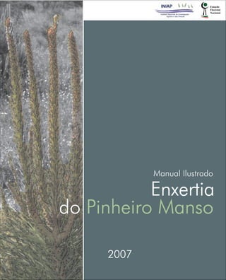 Manual Ilustrado

Enxertia
do Pinheiro Manso
2007

 