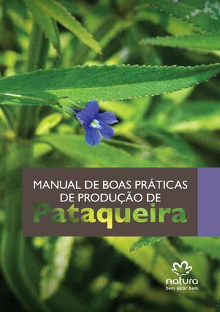 MANUAL DE BOAS PRÁTICAS
DE PRODUÇÃO DE
 