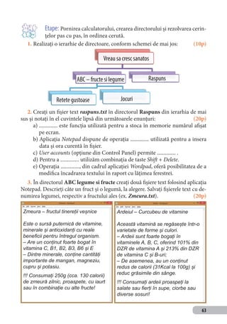 Manual informatica si tic clasa a v-a | PDF