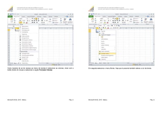 GOVERNO DO ESTADO DO ESPÍRITO SANTO
ESCOLA DE SERVIÇO PÚBLICO DO ESPÍRITO SANTO - ESESP
Microsoft EXCEL 2010 - Básico Pág. 63
Outra maneira de se ter acesso ao menu de bordas é selecionar as colunas, clicar com o
botão direito do mouse e selecionar a opção Formatar Células.
GOVERNO DO ESTADO DO ESPÍRITO SANTO
ESCOLA DE SERVIÇO PÚBLICO DO ESPÍRITO SANTO - ESESP
Microsoft EXCEL 2010 - Básico Pág. 64
Em seguida selecione o menu Borda. Veja que é possível também alterar a cor da borda.
 