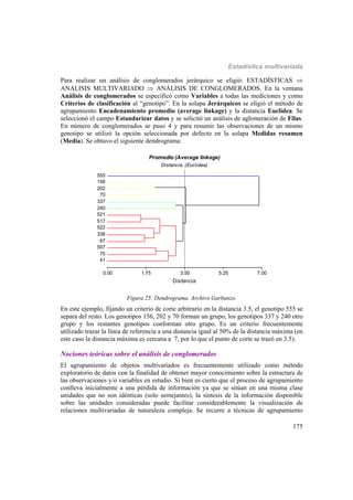 Estadística multivariada
175
Para realizar un análisis de conglomerados jerárquico se eligió: ESTADÍSTICAS 
ANALISIS MULTIVARIADO  ANÁLISIS DE CONGLOMERADOS. En la ventana
Análisis de conglomerados se especificó como Variables a todas las mediciones y como
Criterios de clasificación al “genotipo”. En la solapa Jerárquicos se eligió el método de
agrupamiento Encadenamiento promedio (average linkage) y la distancia Euclídea. Se
seleccionó el campo Estandarizar datos y se solicitó un análisis de aglomeración de Filas.
En número de conglomerados se puso 4 y para resumir las observaciones de un mismo
genotipo se utilizó la opción seleccionada por defecto en la solapa Medidas resumen
(Media). Se obtuvo el siguiente dendrograma:
0.00 1.75 3.50 5.25 7.00
Distancia
41
75
507
67
336
522
517
521
240
337
70
202
156
555
Promedio (Average linkage)
Distancia: (Euclidea)
Figura 25: Dendrograma. Archivo Garbanzo.
En este ejemplo, fijando un criterio de corte arbitrario en la distancia 3.5, el genotipo 555 se
separa del resto. Los genotipos 156, 202 y 70 forman un grupo, los genotipos 337 y 240 otro
grupo y los restantes genotipos conforman otro grupo. Es un criterio frecuentemente
utilizado trazar la línea de referencia a una distancia igual al 50% de la distancia máxima (en
este caso la distancia máxima es cercana a 7, por lo que el punto de corte se trazó en 3.5).
Nociones teóricas sobre el análisis de conglomerados
El agrupamiento de objetos multivariados es frecuentemente utilizado como método
exploratorio de datos con la finalidad de obtener mayor conocimiento sobre la estructura de
las observaciones y/o variables en estudio. Si bien es cierto que el proceso de agrupamiento
conlleva inicialmente a una pérdida de información ya que se sitúan en una misma clase
unidades que no son idénticas (solo semejantes), la síntesis de la información disponible
sobre las unidades consideradas puede facilitar considerablemente la visualización de
relaciones multivariadas de naturaleza compleja. Se recurre a técnicas de agrupamiento
 