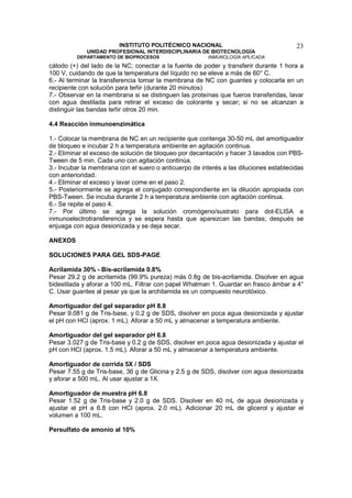 INSTITUTO POLITÉCNICO NACIONAL                                 23
             UNIDAD PROFESIONAL INTERDISCIPLINARIA DE BIOTECNOLOGÍA
         DEPARTAMENTO DE BIOPROCESOS                    INMUNOLOGÍA APLICADA
cátodo (+) del lado de la NC; conectar a la fuente de poder y transferir durante 1 hora a
100 V, cuidando de que la temperatura del líquido no se eleve a más de 60° C.
6.- Al terminar la transferencia tomar la membrana de NC con guantes y colocarla en un
recipiente con solución para teñir (durante 20 minutos)
7.- Observar en la membrana si se distinguen las proteínas que fueros transferidas, lavar
con agua destilada para retirar el exceso de colorante y secar; si no se alcanzan a
distinguir las bandas teñir otros 20 min.

4.4 Reacción inmunoenzimática

1.- Colocar la membrana de NC en un recipiente que contenga 30-50 mL del amortiguador
de bloqueo e incubar 2 h a temperatura ambiente en agitación continua.
2.- Eliminar el exceso de solución de bloqueo por decantación y hacer 3 lavados con PBS-
Tween de 5 min. Cada uno con agitación continúa.
3.- Incubar la membrana con el suero o anticuerpo de interés a las diluciones establecidas
con anterioridad.
4.- Eliminar el exceso y lavar come en el paso 2.
5.- Posteriormente se agrega el conjugado correspondiente en la dilución apropiada con
PBS-Tween. Se incuba durante 2 h a temperatura ambiente con agitación continua.
6.- Se repite el paso 4.
7.- Por último se agrega la solución cromógeno/sustrato para dot-ELISA e
inmunoelectrotransferencia y se espera hasta que aparezcan las bandas; después se
enjuaga con agua desionizada y se deja secar.

ANEXOS

SOLUCIONES PARA GEL SDS-PAGE

Acrilamida 30% - Bis-acrilamida 0.8%
Pesar 29.2 g de acrilamida (99.9% pureza) más 0.8g de bis-acrilamida. Disolver en agua
bidestilada y aforar a 100 mL. Filtrar con papel Whatman 1. Guardar en frasco ámbar a 4°
C. Usar guantes al pesar ya que la archilamida es un compuesto neurotóxico.

Amortiguador del gel separador pH 8.8
Pesar 9.081 g de Tris-base, y 0.2 g de SDS, disolver en poca agua desionizada y ajustar
el pH con HCl (aprox. 1 mL). Aforar a 50 mL y almacenar a temperatura ambiente.

Amortiguador del gel separador pH 6.8
Pesar 3.027 g de Tris-base y 0.2 g de SDS, disolver en poca agua desionizada y ajustar el
pH con HCl (aprox. 1.5 mL). Aforar a 50 mL y almacenar a temperatura ambiente.

Amortiguador de corrida 5X / SDS
Pesar 7.55 g de Tris-base, 36 g de Glicina y 2.5 g de SDS, disolver con agua desionizada
y aforar a 500 mL. Al usar ajustar a 1X.

Amortiguador de muestra pH 6.8
Pesar 1.52 g de Tris-base y 2.0 g de SDS. Disolver en 40 mL de agua desionizada y
ajustar el pH a 6.8 con HCl (aprox. 2.0 mL). Adicionar 20 mL de glicerol y ajustar el
volumen a 100 mL.

Persulfato de amonio al 10%
 