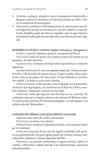 Las plantas como fuente de intoxicación                                 307


• Arritmias cardíacas: atropina iv para el manejo de la bradicardia y
  bloqueo cardíaco. La fenitoína y/o lidocaína pueden ser útiles. Valo-
  rar la instalación de marcapasos.
• Tratamiento antidótico: FAB (fragmentos de anticuerpos específi-
  cos-digoxina) puede ser necesario en caso de arritmias e hiperka-
  liemia. También puede ser eficaz en aquellos casos en que el pacien-
  te presente bradicardia sinusal refractaria (ver Intoxicación por digi-
  tal).


BANDERA (LANTANA CAMARA). Familia: Verbenaceae o Boraginaceae
     Nombres vernáculos: bandera española, maestrante del Brasil.
     Parte tóxica: todas las partes de la planta; frutos del tamaño de un
guisante y de color brillante.
     Sustancia tóxica: lantanina (triterpenoide hepatotóxico) e irritantes
digestivos.
     Localización/descripción: crece en regiones tropicales. Arbusto aromá-
tico alto y tallo provisto de espinas suaves y hojas ovaladas. Flores agru-
padas como un paraguas, de color crema. Frutos brillantes y carnosos,
con semilla. Las hojas se usan como infusión.
     Clínica: los frutos verdes pueden causar hepatitis por fotosensibili-
zación de tipo hepatógena, con trastornos en el flujo de la bilis y enzi-
mas hepáticas. Alergia por contacto con las hojas.
     Tratamiento: niños que ingieren una sola hoja no van a precisar. En
cantidades mayores se requiere observación durante 24-48 horas. Indu-
cir emesis en los primeros 30 minutos postingesta, o lavado gástrico con
carbón activado. Sintomático.


CASTAÑO DE INDIAS (AESCULUS HIPPOCASTANUM)
    Utilizado como árbol de sombra ornamental.
    Parte tóxica: sus frutos, las castañas.
    Sustancia tóxica: contienen el glucósido esculina y una sustancia amar-
ga, la esculetina.
    Clínica: en la mayoría de los casos de ingesta accidental, sólo apare-
ce una gastroenteritis. En gran ingesta puede dar vómitos, diarrea, inco-
ordinación, midriasis e incluso depresión del SNC.
    Tratamiento: en paciente asintomático e ingesta reciente, inducir el
vómito y administrar carbón activado. Con sintomatología, reposición
hidroelectrolítica.
 