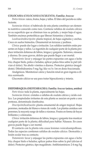 308                                                                     J.L. Conejo


COLOCASIA (COLOCASSIA ESCULENTA). Familia: Araceae
     Partes tóxicas: raíces, frutos, hojas y tallos. El látex del peciolo es rube-
faciente.
     Sustancias tóxicas: el tubérculo de esta planta constituye un elemen-
to nutritivo conocido como taro. Contiene rafidios de oxalato cálcico
en su superficie que se eliminan tras su pelado, y mejor bajo el agua.
También enzimas proteolíticas que liberan histamina y kininas.
     Localización/descripción: planta tropical, de hojas sagitadas y anchas.
Crece en suelos húmedos. Ornamental en terrazas y jardines.
     Clínica: puede dar lugar a irritación. Los rafidios también están pre-
sentes en hojas y tallos. La ingestión de cualquier parte de la planta pro-
duce irritación dolorosa de labios, lengua y garganta. Sialorrea, náuseas
y diarrea. En casos graves, delirio que puede llegar a ser mortal.
     Tratamiento: lavar y enjuagar las partes expuestas con agua o leche
fría; chupar hielo, polos o helados; aplicar paños fríos sobre la piel (ali-
vian el dolor). No abolir vómitos o diarrea. Protector gástrico (magal-
drato). Difenhidramina 5 mg/kg/día vo/iv/im en dosis fraccionada.
     Analgésicos. Monitorizar calcio y función renal en gran ingesta o clí-
nica acentuada.
     Gluconato cálcico se usa para tratar hipocalcemia y tetania.


DIEFEMBAQUIA (DIEFFEMBACHIA). Familia: Araceae (arácea, aroidea)
     Parte tóxica: toda la planta, especialmente las hojas.
     Sustancias tóxicas: cristales o rafidios de oxalato cálcico y ácido oxá-
lico. Las propiedades irritantes de esta planta se asocian en parte a una
proteasa, denominada dumbcaína.
     Descripción/localización: planta ornamental de origen tropical. Hojas
perennes, moteadas de blanco o tonos de verde. Las plantas aroideas son
perennes; la mayoría surge de tallos o rizomas. Frutos en forma de bayas
brillantes y coloreadas.
     Clínica: irritación dolorosa de labios, lengua y garganta tras masticar
cualquier parte de la planta; dificultad para hablar. Náuseas. En casos
graves puede llegar a ser mortal.
     El contacto con la planta rota causa lesiones vesiculoampollosas.
Todas las especies contienen rafidios de oxalato cálcico. Dermatitis y
lesión ocular tras su contacto.
     Tratamiento: lavar y enjuagar las partes expuestas con agua o leche
fría; chupar hielo o helados; aplicar paños fríos sobre la piel (alivian el
dolor). Protector gástrico, tipo magaldrato. Antihistamínicos: 2-4 mg/kg
 