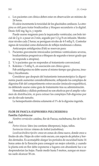 310                                                               J.L. Conejo


c. Los pacientes con clínica deben estar en observación un mínimo de
     24 horas.
     El calcio incrementa la toxicidad de los glucósidos cardiacos. La atro-
pina es útil para tratar bradicardias y bloqueo secundario a la digital.
Dosis: 0,02 mg/kg iv, y repetir.
     Puede usarse magnesio para la taquicardia ventricular, con bolo ini-
cial de 2 g iv a pasar en 2 min, seguido por 1-2 g/h en infusión. Monito-
rizar niveles cada 2 horas; se persiguen niveles de 4-5 mEq/L. Controlar
signos de toxicidad como disfunción de reflejos tendinosos o disnea.
     Anticuerpos antidigoxina (Fab) se reservan para:
1. Pacientes gravemente intoxicados (arritmias ventriculares severas,
     bradiarritmias progresivas o bloqueo de segundo o tercer grado que
     no responde a atropina).
2. Y/o pacientes que no responden al tratamiento convencional.
3. Kalemia > 5 mEq/L, en asociación con clínica grave.
     Fab antidigoxina no debe usarse al mismo tiempo que glucosa, insu-
lina y bicarbonato.
     Considerar que después del tratamiento inmunoterápico la digoxi-
nemia puede aumentar considerablemente, reflejando los complejos de
digoxina-Fab del compartimento extravascular (músculo-esquelético),
no debiendo usarse como guía de tratamiento tras su administración.
     Hemodiálisis y diálisis peritoneal no son efectivas por el amplio volu-
men de distribución, ni para extraer los complejos Fab-digoxina por
ser de elevado tamaño.
     La hemoperfusión elimina solamente el 1% de la digoxina ingerida.


FLOR DE PASCUA (EUPHORBIA PULCHERRIMA)
Familia: Euforbiaceae
    Nombres vernáculos: catalina, flor de Pascua, nochebuena, flor de Navi-
dad.
    Partes tóxicas: látex (no contiene diterpenos), hojas, tallos.
    Sustancias tóxicas: ésteres de forbol (euforbina).
    Localización/descripción: crece en zonas de clima suave, donde crece a
finales de año. Hojas de color verde oscuro, con aspecto de pétalos y bor-
des dentados. Es aconsejable alargar los períodos de oscuridad hasta 14
horas antes de la floración para conseguir un mejor colorido, y cuando
la planta está en flor debe exponerse a lugares con abundante luz o se
desprenderían las hojas. Puede medir hasta 5 metros, aunque en mace-
tas suele alcanzar 50 cm.
 
