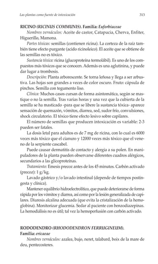 Las plantas como fuente de intoxicación                                   313


RICINO (RICINUS COMMUNIS). Familia: Euforbiaceae
    Nombres vernáculos: Aceite de castor, Catapucia, Cherva, Enfiter,
Higuerillo, Mamona.
    Partes tóxicas: semillas (contienen ricina). La corteza de la raíz tam-
bién tiene efecto purgante (acido ricinoleico). El aceite que se obtiene de
las semillas no es tóxico.
    Sustancia tóxica: ricina (glucoproteína termolábil). Es uno de los com-
puestos más tóxicos que se conocen. Además es una aglutinina, y puede
dar lugar a trombosis.
    Descripción: Planta arborescente. Se torna leñosa y llega a ser arbus-
tiva. Las hojas son grandes a veces de color oscuro. Fruto: cápsula de
pinchos. Semilla con tegumento liso.
    Clínica: Muchos casos cursan de forma asintomática, según se mas-
tique o no la semilla. Tras varias horas y una vez que la cubierta de la
semilla se ha masticado -para que se libere la sustancia tóxica- aparece
sensación de quemazón, vómitos, diarrea, sed, sudor frío, convulsiones,
shock circulatorio. El tóxico tiene efecto lesivo sobre capilares.
    El número de semillas que producen intoxicación es variable: 2-3
pueden ser fatales.
    La dosis letal para adultos es de 7 mg de ricina, con lo cual es 6000
veces más tóxico que el cianuro y 12000 veces más tóxico que el vene-
no de la serpiente cascabel.
    Puede causar dermatitis de contacto y alergia a su polen. En mani-
puladores de la planta pueden observarse diferentes cuadros alérgicos,
secundarios a las glicoproteínas.
    Tratamiento: Emesis precoz antes de los 45 minutos. Carbón activado
(precoz): 1 g/kg.
    Lavado gástrico y/o lavado intestinal (depende de tiempos postin-
gesta y clínica).
    Mantener equilibrio hidroelectrolítico, que puede deteriorarse de forma
rápida por los vómitos y diarrea, así como por la lesión generalizada de capi-
lares. Diuresis alcalina adecuada (que evita la cristalización de la hemo-
globina). Monitorizar glucemia. Sedar al paciente con benzodiazepinas.
La hemodiálisis no es útil; tal vez la hemoperfusión con carbón activado.


RODODENDRO (RHODODENDRON FERRUGINEUM).
Familia: ericaeae
   Nombres vernáculos: azalea, bujo, neret, talabard, boix de la mare de
deu, pentecosteres.
 