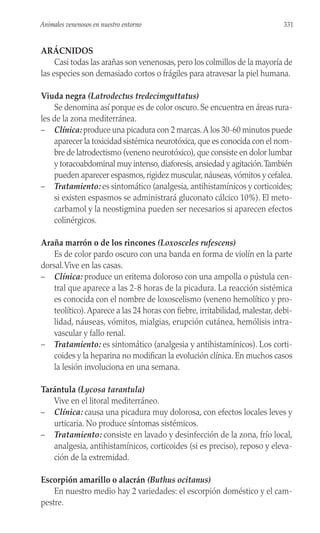 ARÁCNIDOS
Casi todas las arañas son venenosas, pero los colmillos de la mayoría de
las especies son demasiado cortos o frágiles para atravesar la piel humana.
Viuda negra (Latrodectus tredecimguttatus)
Se denomina así porque es de color oscuro. Se encuentra en áreas rura-
les de la zona mediterránea.
– Clínica: produce una picadura con 2 marcas.A los 30-60 minutos puede
aparecer la toxicidad sistémica neurotóxica, que es conocida con el nom-
bre de latrodectismo (veneno neurotóxico),que consiste en dolor lumbar
y toracoabdominal muy intenso,diaforesis,ansiedad y agitación.También
pueden aparecer espasmos,rigidez muscular,náuseas,vómitos y cefalea.
– Tratamiento: es sintomático (analgesia, antihistamínicos y corticoides;
si existen espasmos se administrará gluconato cálcico 10%). El meto-
carbamol y la neostigmina pueden ser necesarios si aparecen efectos
colinérgicos.
Araña marrón o de los rincones (Loxosceles rufescens)
Es de color pardo oscuro con una banda en forma de violín en la parte
dorsal.Vive en las casas.
– Clínica: produce un eritema doloroso con una ampolla o pústula cen-
tral que aparece a las 2-8 horas de la picadura. La reacción sistémica
es conocida con el nombre de loxoscelismo (veneno hemolítico y pro-
teolítico).Aparece a las 24 horas con fiebre, irritabilidad, malestar, debi-
lidad, náuseas, vómitos, mialgias, erupción cutánea, hemólisis intra-
vascular y fallo renal.
– Tratamiento: es sintomático (analgesia y antihistamínicos). Los corti-
coides y la heparina no modifican la evolución clínica. En muchos casos
la lesión involuciona en una semana.
Tarántula (Lycosa tarantula)
Vive en el litoral mediterráneo.
– Clínica: causa una picadura muy dolorosa, con efectos locales leves y
urticaria. No produce síntomas sistémicos.
– Tratamiento: consiste en lavado y desinfección de la zona, frío local,
analgesia, antihistamínicos, corticoides (si es preciso), reposo y eleva-
ción de la extremidad.
Escorpión amarillo o alacrán (Buthus ocitanus)
En nuestro medio hay 2 variedades: el escorpión doméstico y el cam-
pestre.
331
Animales venenosos en nuestro entorno
 