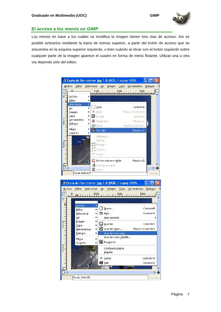 gimp 2.8.22 manual