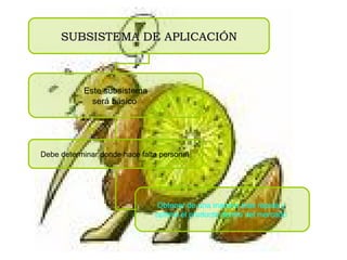 SUBSISTEMA DE APLICACIÓN Este subsistema será básico   Debe determinar donde hace falta personal   Obtener de una manera más rápida y  optima el producto dentro del mercado   