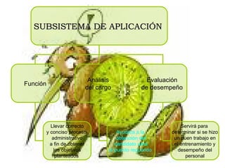 SUBSISTEMA DE APLICACIÓN   Función Análisis  del cargo   Evaluación  de desempeño   Llevar correcto y conciso proceso  administrativo a fin de obtener los objetivos planteados   Ayudara a la  obtención del candidato para el puesto requerido   Servirá para  determinar si se hizo un buen trabajo en el entrenamiento y desempeño del personal   