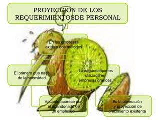 PROYECCION DE LOS REQUERIMIENTOSDE PERSONAL   En las empresas existen dos métodos   El primero que nace de la necesidad   La segunda que es utilizada en  empresas grandes   Vacante aparece por  el abandonado de un empleado   Es la planeación  y proyección de crecimiento existente   
