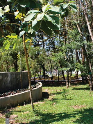 36 KOTA HIJAU - Menyatukan Harapan, Langkah, dan Aksi Bersama
 