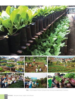 Foto : Contoh kegiatan Pertanian Perkotaan (Urban Farming) di berbagai daerah di Indonesia.
44 KOTA HIJAU - Menyatukan Harapan, Langkah, dan Aksi Bersama
 