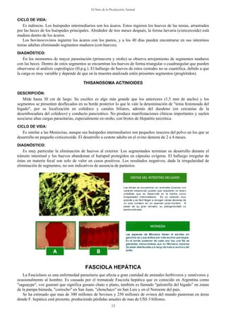 El Sitio de la Producción Animal
12
CIC
s principales. Alrededor de tres meses después, la forma larvaria (cisticercoide) está
ma
a los 40 días pueden encontrarse en sus intestinos
inando segmentos maduros (con huevos).
DIA
a que
la carga es muy variable y depende de que en la muestra analizada estén presentes segmentos (proglótidos).
THISANOSOMA ACTINIOIDES
DE
importantes y suelen
as parasitarias, especialmente en otoño, con brotes de Hepatitis necrótica.
CIC
n los que se
eño cisticercoide. El desarrollo a cestote adulto en el ovino demora de 2 a 4 meses.
DIA
ltados negativos, dada la irregularidad de
liminación de segmentos, no son indicativos de ausencia de parásitos.
LO DE VIDA:
Es indirecto. Los huéspedes intermediarios son los ácaros. Estos ingieren los huevos de las tenias, arrastrados
por las heces de los huéspede
dura dentro de los ácaros.
Los bovinos/ovinos ingieren los ácaros con los pastos, y
tenias adultas elim
GNÓSTICO:
En los momentos de mayor parasitación (primavera y otoño) se observa arrojamiento de segmentos maduros
con las heces. Dentro de estos segmentos se encuentran los huevos de forma triangular o cuadrangular que pueden
observarse al análisis coprológico (H.p.g.). El hallazgo de huevos de estos cestodes no se cuantifica, debido
SCRIPCIÓN:
Mide hasta 30 cm de largo. Su escólex es algo más grande que los anteriores (1,5 mm de ancho) y los
segmentos se presenten desflecados en su borde posterior lo que le vale la denominación de "tenia festoneada del
hígado", por su localización en colédoco y canales biliares, además del duodeno (en cercanías de la
desembocadura del colédoco) y conducto pancreático. No produce manifestaciones clínicas
asociarse altas carg
LO DE VIDA:
Es similar a las Moniezias, aunque sus huéspedes intermediarios son pequeños insectos del polvo e
desarrolla un pequ
GNÓSTICO:
Es muy particular la eliminación de huevos al exterior. Los segmentados terminan su desarrollo durante el
tránsito intestinal y los huevos abandonan el huésped protegidos en cápsulas ovígeras. El hallazgo irregular de
éstas en materia fecal son solo de valor en casos positivos. Los resu
e
ígado" en zonas
de
undo pastorean en áreas
do les de mas de U$S 3 billones.
FASCIOLA HEPÁTICA
La Fasciolasis es una enfermedad parasitaria que afecta a gran cantidad de animales herbívoros y omnívoros y
ocasionalmente al hombre. Es causada por el trematode Fasciola hepática que es conocido en Argentina como
"saguaype", voz guaraní que significa gusano chato o plano, también es llamado "palomilla del h
la pampa húmeda, "corrocho" en San Juan, "chonchaco" en San Luis y en el Noroeste del país.
Se ha estimado que mas de 300 millones de bovinos y 250 millones de ovinos del m
nde F. hepática está presente, produciendo pérdidas anua
 