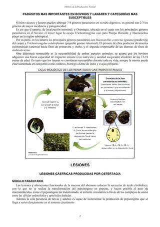 El Sitio de la Producción Animal
PARÁSITOS MAS IMPORTANTES EN BOVINOS Y LANARES Y CATEGORÍAS MAS
SUSCEPTIBLES
Si bien vacunos y lanares pueden albergar 7-8 géneros parasitarios en su tubo digestivo, en general son 2-3 los
géneros de mayor incidencia y patogenicidad.
Es así que Cooperia, de localización intestinal, y Ostertagia, ubicada en el cuajo son los principales géneros
parasitarios en el bovino; el tercer lugar lo ocupa Tríchostrongylus axei para Pampa Húmeda, y Haemonchus
placei en la región subtropical.
Por su parte, en los lanares los principales géneros parasitarios son Haemonchus contortus (gusano grande/rojo
del cuajo) y Trichostrongylus colubriformis (pequeño gusano intestinal). El primero de ellos productor de muertes
asintomáticas (anemia) hacia fines de primavera y otoño, y el segundo responsable de las diarreas de fines de
otoño-invierno.
Otra diferencia remarcable es la susceptibilidad de ambas especies animales; se acepta que los bovinos
adquieren una buena capacidad de respuesta inmune (con nutrición y sanidad asegurada) alrededor de los 12-18
meses de edad. En tanto que los lanares se consideran susceptibles durante toda su vida, aunque la misma puede
estar aumentada en categorías como corderos, borregos diente de leche y ovejas periparto.
CICLO BIOLÓGICO DE LOS NEMATODOS GASTROINTESTINALES
LESIONES
LESIONES GÁSTRICAS PRODUCIDAS POR OSTERTAGIA
NÓDULO PARASITARIO
Las lesiones y alteraciones funcionales de la mucosa del abomaso reducen la secreción de ácido clorhídrico,
con lo que no se realiza la transformación del pepsinógeno en pepsina, y hacen posible el paso de
macromoléculas, como el pepsinógeno no transformado, al torrente circulatorio a través de los complejos de unión
entre las células endoteliales y epiteliales dañadas.
Además la sola presencia de larvas y adultos es capaz de incrementar la producción de pepsinógeno que se
llega a verter directamente en el torrente circulatorio
2
 