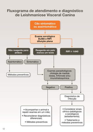 Fluxograma de atendimento e diagnóstico
         de Leishmaniose Visceral Canina

                                 Cão sintomático
                                ou assintomático


                                 Exame sorológico
                                    ELISA e RIFI
                                   diluição plena



     Não reagente para           Reagente em pelo
                                                              RIFI > 1:640
          ambos                   menos um teste



     Assintomático       Sintomático



                                             Exames parasitológicos:
                                               citologia de medula
     Métodos preventivos                      óssea, linfonodo e/ou
                                               imunohistoquímica



                                           Negativo          Positivo



                                                             Diagnóstico de
                                                                infecção



                      • Acompanhar o animal e              • Considerar sinais
                     repetir exames em um mês;             clínico-patológicos
                                                              e sorológicos
                     • Reconsiderar diagnósticos             (estadiamento);
                            diferenciais;
                                                            • Tratamento e
                       • Métodos preventivos              métodos preventivos

12
 