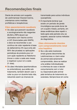 Recomendações ﬁnais
     Diante de animais com suspeita            transmissão para outros indivíduos
     de Leishmaniose Visceral Canina,          susceptíveis;
     orientamos como medidas                  É importante lembrar que
     profiláticas e terapêuticas:              existe um período de janela
                                               imunológica que pode durar de
     Cães aparentemente saudáveis
                                               um a quatro meses, portanto, em
      Os cães que parecem saudáveis
                                               áreas endêmicas deve repetir o
       e sorologicamente não reagentes
                                               teste após este período e/ou se
       (ELISA e RIFI) devem ser
                                               suspeito, associar outros métodos
       vacinados com Vacina contra
                                               de diagnóstico.
       a LVC (licenciadas pelo MAPA)
       e deve-se recomendar o uso            Cães clinicamente doentes
       contínuo de colar repelente à base    com comprometimento renal
       de deltametrina 4% (que evita até     e/ou hepático
       95% das picadas) ou aplicações         Se o cão está mostrando
       periódicas de produto pour-on           sinais graves decorrentes da
       com ação repelente ao flebótomo         Leishmaniose e o bem-estar
       (trocar o colar a cada seis meses       do animal está seriamente
       e reaplicar o pour-on a cada            comprometido, deve-se realizar
       21 dias);                               uma análise individualizada
      Os cães infectados (assintomáticos      e criteriosa do caso e decidir
       ou sintomáticos), que estão sob         conjuntamente com o tutor
       tratamento, também devem usar o         ou responsável pelo animal
       colar ou pour-on durante toda vida,     pela tentativa de tratamento ou
       reduzindo assim as chances de           eutanásia. Sempre levar em conta




18
 