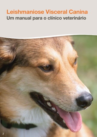 Leishmaniose Visceral Canina
    Um manual para o clínico veterinário




2
 