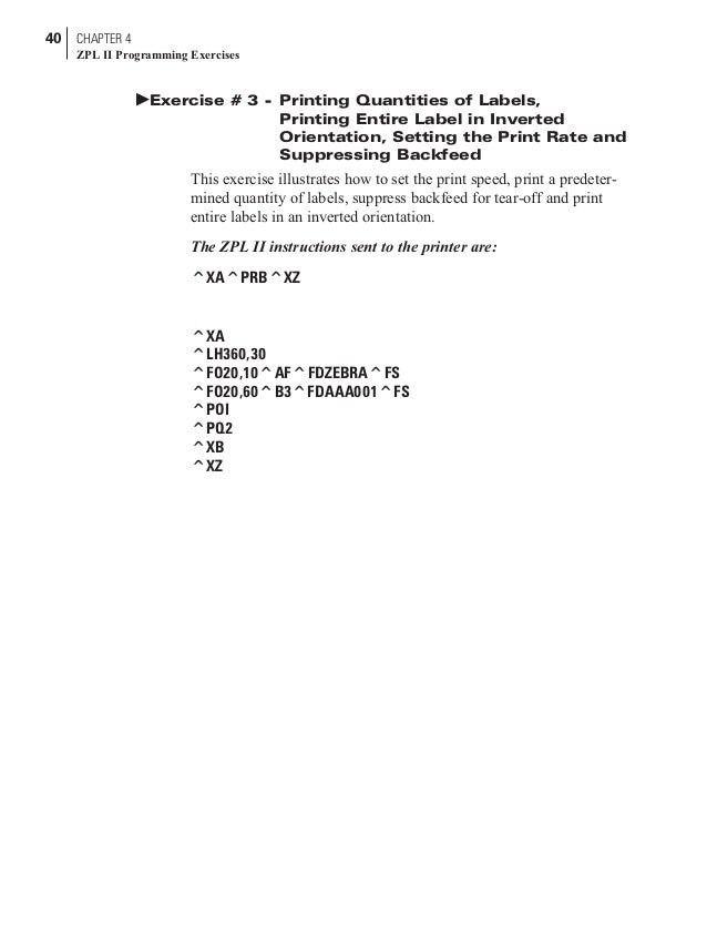 Manual lenguaje zebra