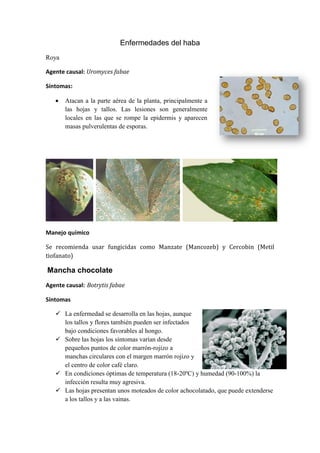 Enfermedades del haba
Roya

Agente causal: Uromyces fabae

Síntomas:

      Atacan a la parte aérea de la planta, principalmente a
       las hojas y tallos. Las lesiones son generalmente
       locales en las que se rompe la epidermis y aparecen
       masas pulverulentas de esporas.




Manejo químico

Se recomienda usar fungicidas como Manzate (Mancozeb) y Cercobin (Metil
tiofanato)

Mancha chocolate
Agente causal: Botrytis fabae

Síntomas

    La enfermedad se desarrolla en las hojas, aunque
     los tallos y flores también pueden ser infectados
     bajo condiciones favorables al hongo.
    Sobre las hojas los síntomas varían desde
     pequeños puntos de color marrón-rojizo a
     manchas circulares con el margen marrón rojizo y
     el centro de color café claro.
    En condiciones óptimas de temperatura (18-20ºC) y humedad (90-100%) la
     infección resulta muy agresiva.
    Las hojas presentan unos moteados de color achocolatado, que puede extenderse
     a los tallos y a las vainas.
 