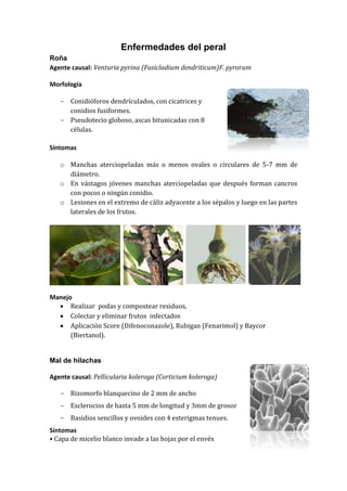 Enfermedades del peral
Roña
Agente causal: Venturia pyrina (Fusicladium dendriticum)F. pyrorum

Morfología

   - Conidióforos dendrículados, con cicatrices y
     conidios fusiformes.
   - Pseudotecio globoso, ascas bitunicadas con 8
     células.

Síntomas

   o Manchas aterciopeladas más o menos ovales o circulares de 5-7 mm de
     diámetro.
   o En vástagos jóvenes manchas aterciopeladas que después forman cancros
     con pocos o ningún conidio.
   o Lesiones en el extremo de cáliz adyacente a los sépalos y luego en las partes
     laterales de los frutos.




Manejo
   Realizar podas y compostear residuos,
   Colectar y eliminar frutos infectados
   Aplicación Score (Difenoconazole), Rubigan (Fenarimol) y Baycor
      (Biertanol).


Mal de hilachas

Agente causal: Pellicularia koleroga (Corticium koleroga)

   - Rizomorfo blanquecino de 2 mm de ancho
   - Esclerocios de hasta 5 mm de longitud y 3mm de grosor
   - Basidios sencillos y ovoides con 4 esterigmas tenues.
Síntomas
• Capa de micelio blanco invade a las hojas por el envés
 