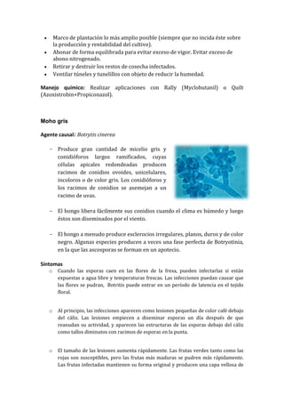        Marco de plantación lo más amplio posible (siempre que no incida éste sobre
         la producción y rentabilidad del cultivo).
        Abonar de forma equilibrada para evitar exceso de vigor. Evitar exceso de
         abono nitrogenado.
        Retirar y destruir los restos de cosecha infectados.
        Ventilar túneles y tunelillos con objeto de reducir la humedad.

Manejo químico: Realizar aplicaciones con Rally (Myclobutanil) o Quilt
(Azoxistrobin+Propiconazol).



Moho gris

Agente causal: Botrytis cinerea

     - Produce gran cantidad de micelio gris y
       conidióforos largos ramificados, cuyas
       células apicales redondeadas producen
       racimos de conidios ovoides, unicelulares,
       incoloros o de color gris. Los conidióforos y
       los racimos de conidios se asemejan a un
       racimo de uvas.

     - El hongo libera fácilmente sus conidios cuando el clima es húmedo y luego
       éstos son diseminados por el viento.

     - El hongo a menudo produce esclerocios irregulares, planos, duros y de color
       negro. Algunas especies producen a veces una fase perfecta de Botryotinia,
       en la que las ascosporas se forman en un apotecio.

Síntomas
     o    Cuando las esporas caen en las flores de la fresa, pueden infectarlas si están
          expuestas a agua libre y temperaturas frescas. Las infecciones puedan causar que
          las flores se pudran, Botritis puede entrar en un período de latencia en el tejido
          floral.


     o    Al principio, las infecciones aparecen como lesiones pequeñas de color café debajo
          del cáliz. Las lesiones empiecen a diseminar esporas un día después de que
          reanudan su actividad, y aparecen las estructuras de las esporas debajo del cáliz
          como tallos diminutos con racimos de esporas en la punta.


     o    El tamaño de las lesiones aumenta rápidamente. Las frutas verdes tanto como las
          rojas son susceptibles, pero las frutas más maduras se pudren más rápidamente.
          Las frutas infectadas mantienen su forma original y producen una capa vellosa de
 