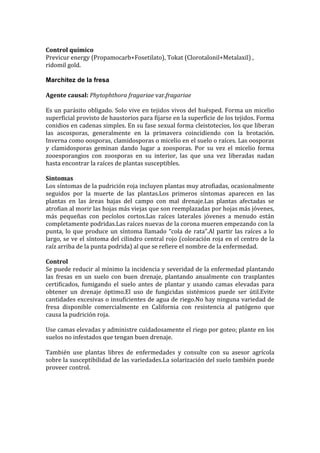 Control químico
Previcur energy (Propamocarb+Fosetilato), Tokat (Clorotalonil+Metalaxil) ,
ridomil gold.

Marchitez de la fresa

Agente causal: Phytophthora fragariae var.fragariae

Es un parásito obligado. Solo vive en tejidos vivos del huésped. Forma un micelio
superficial provisto de haustorios para fijarse en la superficie de los tejidos. Forma
conidios en cadenas simples. En su fase sexual forma cleistotecios, los que liberan
las ascosporas, generalmente en la primavera coincidiendo con la brotación.
Inverna como oosporas, clamidosporas o micelio en el suelo o raíces. Las oosporas
y clamidosporas geminan dando lugar a zoosporas. Por su vez el micelio forma
zooesporangios con zoosporas en su interior, las que una vez liberadas nadan
hasta encontrar la raíces de plantas susceptibles.

Síntomas
Los síntomas de la pudrición roja incluyen plantas muy atrofiadas, ocasionalmente
seguidos por la muerte de las plantas.Los primeros síntomas aparecen en las
plantas en las áreas bajas del campo con mal drenaje.Las plantas afectadas se
atrofian al morir las hojas más viejas que son reemplazadas por hojas más jóvenes,
más pequeñas con pecíolos cortos.Las raíces laterales jóvenes a menudo están
completamente podridas.Las raíces nuevas de la corona mueren empezando con la
punta, lo que produce un síntoma llamado “cola de rata”.Al partir las raíces a lo
largo, se ve el síntoma del cilindro central rojo (coloración roja en el centro de la
raíz arriba de la punta podrida) al que se refiere el nombre de la enfermedad.

Control
Se puede reducir al mínimo la incidencia y severidad de la enfermedad plantando
las fresas en un suelo con buen drenaje, plantando anualmente con trasplantes
certificados, fumigando el suelo antes de plantar y usando camas elevadas para
obtener un drenaje óptimo.El uso de fungicidas sistémicos puede ser útil.Evite
cantidades excesivas o insuficientes de agua de riego.No hay ninguna variedad de
fresa disponible comercialmente en California con resistencia al patógeno que
causa la pudrición roja.

Use camas elevadas y administre cuidadosamente el riego por goteo; plante en los
suelos no infestados que tengan buen drenaje.

También use plantas libres de enfermedades y consulte con su asesor agrícola
sobre la susceptibilidad de las variedades.La solarización del suelo también puede
proveer control.
 