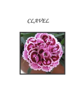 CLAVEL
 