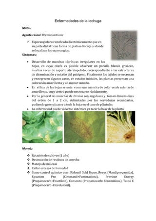 Enfermedades de la lechuga
Mildiu

Agente causal: Bremia lactucae

    Esporangioforo ramificado dicotómicamente que en
      su parte distal tiene forma de plato o disco y es donde
      se localizan los esporangios.
Síntomas:

        Desarrollo de manchas cloróticas irregulares en las
         hojas, en cuyo envés es posible observar un polvillo blanco grisáceo,
         muchas veces de aspecto aterciopelado, correspondiente a las estructuras
         de diseminación y micelio del patógeno. Finalmente los tejidos se necrosan
         y ennegrecen algunos casos, en estados iniciales, las plantas presentan una
         coloración amarillenta y un menor tamaño.
        En el haz de las hojas se nota como una mancha de color verde más tarde
         amarillento, cuyo centro puede necrosarse rápidamente.
        Por lo general las manchas de Bremia son angulosas y toman dimensiones
         del orden de 1 a 2 cm, delimitadas por las nervaduras secundarias,
         pudiendo generalizarse a toda la hoja en el caso de plántulas.
        La enfermedad puede volverse sistémica ya tacar la base de la planta.




Manejo:

        Rotación de cultivos (1 año)
        Destrucción de residuos de cosecha
        Manejo de malezas
        Evitar excesos de humedad
        Como control químico usar: Ridomil Gold Bravo, Revus (Mandipropamida),
         Equation      Pro       (Cimoxanil+Famoxadona),    Previcur    Energy
         (Propamocarb+Fosetilato), Consento (Propamocarb+Fenamidona), Tatoo C
         (Propamocarb+Clorotalonil).
 