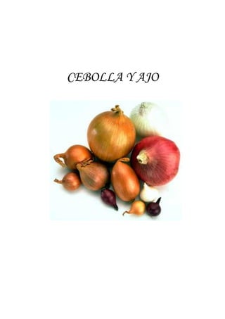 CEBOLLA Y AJO
 