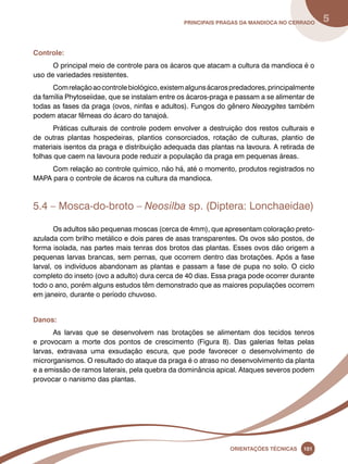principais Pragas da mandioca no Cerrado 5 
Oreinatções Técnacis 101 
Controle: 
O principal meio de controle para os ácaros que atacam a cultura da mandioca é o 
uso de variedades resistentes. 
Com relação ao controle biológico, existem alguns ácaros predadores, principalmente 
da família Phytoseiidae, que se instalam entre os ácaros-praga e passam a se alimentar de 
todas as fases da praga (ovos, ninfas e adultos). Fungos do gênero Neozygites também 
podem atacar fêmeas do ácaro do tanajoá. 
Práticas culturais de controle podem envolver a destruição dos restos culturais e 
de outras plantas hospedeiras, plantios consorciados, rotação de culturas, plantio de 
materiais isentos da praga e distribuição adequada das plantas na lavoura. A retirada de 
folhas que caem na lavoura pode reduzir a população da praga em pequenas áreas. 
Com relação ao controle químico, não há, até o momento, produtos registrados no 
Mapa para o controle de ácaros na cultura da mandioca. 
5.4 – Mosca-do-broto – Neosilba sp. (Diptera: Lonchaeidae) 
Os adultos são pequenas moscas (cerca de 4mm), que apresentam coloração preto-azulada 
com brilho metálico e dois pares de asas transparentes. Os ovos são postos, de 
forma isolada, nas partes mais tenras dos brotos das plantas. Esses ovos dão origem a 
pequenas larvas brancas, sem pernas, que ocorrem dentro das brotações. Após a fase 
larval, os indivíduos abandonam as plantas e passam a fase de pupa no solo. O ciclo 
completo do inseto (ovo a adulto) dura cerca de 40 dias. Essa praga pode ocorrer durante 
todo o ano, porém alguns estudos têm demonstrado que as maiores populações ocorrem 
em janeiro, durante o período chuvoso. 
Danos: 
As larvas que se desenvolvem nas brotações se alimentam dos tecidos tenros 
e provocam a morte dos pontos de crescimento (Figura 8). Das galerias feitas pelas 
larvas, extravasa uma exsudação escura, que pode favorecer o desenvolvimento de 
microrganismos. O resultado do ataque da praga é o atraso no desenvolvimento da planta 
e a emissão de ramos laterais, pela quebra da dominância apical. Ataques severos podem 
provocar o nanismo das plantas. 
 