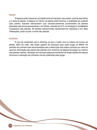 Danos: 
O ataque pode ocasionar, principalmente em épocas mais secas, a perda das folhas 
e a seca da planta. O ataque no interior da planta pode diminuir a qualidade do material 
para plantio. Estudos demonstram que manivas-sementes provenientes de plantas 
atacadas pela broca apresentaram, em média, redução de 41% na brotação e mortalidade 
progressiva das plantas. As plantas sobreviventes apresentam-se raquíticas e em altas 
infestações, pode causar a morte das plantas. 
Controle: 
O uso de inseticidas não é eficiente, já que o inseto vive no interior do tronco da 
planta. Além do mais, não existe registro de produtos para essa praga no Mapa. As 
práticas de controle mais recomendadas são a destruição dos restos culturais por meio da 
queima, eliminação das partes das plantas com sintomas de ataque da praga, ou mesmo 
das plantas inteiras, utilização de manivas sadias provenientes de áreas isentas do ataque 
da broca e utilização de cultivares menos preferidas pela praga. 
112 Mandioca no Cerrado 
 