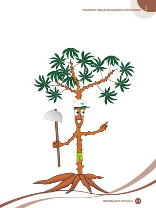 principais Pragas da mandioca no Cerrado 5 
Oreinatções Técnacis 115 
 
