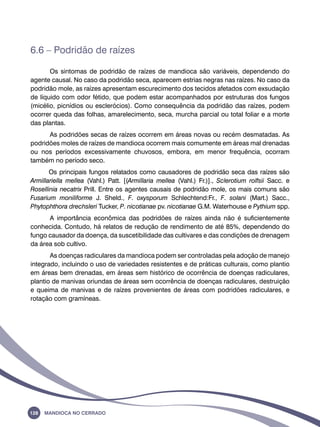 6.6 – Podridão de raízes 
Os sintomas de podridão de raízes de mandioca são variáveis, dependendo do 
agente causal. No caso da podridão seca, aparecem estrias negras nas raízes. No caso da 
podridão mole, as raízes apresentam escurecimento dos tecidos afetados com exsudação 
de líquido com odor fétido, que podem estar acompanhados por estruturas dos fungos 
(micélio, picnídios ou esclerócios). Como consequência da podridão das raízes, podem 
ocorrer queda das folhas, amarelecimento, seca, murcha parcial ou total foliar e a morte 
das plantas. 
As podridões secas de raízes ocorrem em áreas novas ou recém desmatadas. As 
podridões moles de raízes de mandioca ocorrem mais comumente em áreas mal drenadas 
ou nos períodos excessivamente chuvosos, embora, em menor frequência, ocorram 
também no período seco. 
Os principais fungos relatados como causadores de podridão seca das raízes são 
Armillariella mellea (Vahl.) Patt. [(Armillaria mellea (Vahl.) Fr.)]., Sclerotium rolfsii Sacc. e 
Rosellinia necatrix Prill. Entre os agentes causais de podridão mole, os mais comuns são 
Fusarium moniliforme J. Sheld., F. oxysporum Schlechtend:Fr., F. solani (Mart.) Sacc., 
Phytophthora drechsleri Tucker, P. nicotianae pv. nicotianae G.M. Waterhouse e Pythium spp. 
A importância econômica das podridões de raízes ainda não é suficientemente 
conhecida. Contudo, há relatos de redução de rendimento de até 85%, dependendo do 
fungo causador da doença, da suscetibilidade das cultivares e das condições de drenagem 
da área sob cultivo. 
As doenças radiculares da mandioca podem ser controladas pela adoção de manejo 
integrado, incluindo o uso de variedades resistentes e de práticas culturais, como plantio 
em áreas bem drenadas, em áreas sem histórico de ocorrência de doenças radiculares, 
plantio de manivas oriundas de áreas sem ocorrência de doenças radiculares, destruição 
e queima de manivas e de raízes provenientes de áreas com podridões radiculares, e 
rotação com gramíneas. 
128 Mandioca no Cerrado 
 