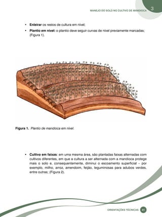 Manejo do solo no cultivo de mandioca 3 
• Enleirar os restos de cultura em nível; 
• Plantio em nível: o plantio deve seguir curvas de nível previamente marcadas; 
Oreinatções Técnacis 41 
(Figura 1). 
Figura 1. Plantio de mandioca em nível. 
• Cultivo em faixas: em uma mesma área, são plantadas faixas alternadas com 
cultivos diferentes, em que a cultura a ser alternada com a mandioca protege 
mais o solo e, consequentemente, diminui o escoamento superficial – por 
exemplo, milho, arroz, amendoim, feijão, leguminosas para adubos verdes, 
entre outras; (Figura 2). 
 